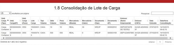 1.8 CONSOLIDAÇÃO DE LOTE DE CARGA LAYOUT